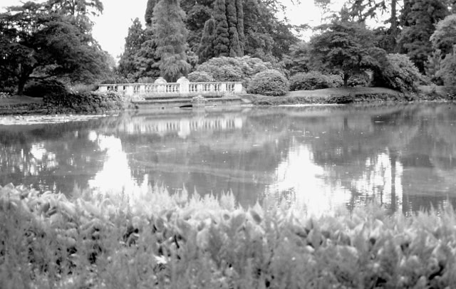 Sheffield Park 1988. Global Studies: Culture/Nature. Photos A.A.Bispo©