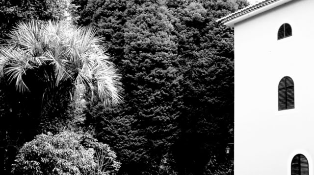 Santo da Serra. Madeira 1989. Global Studies: Culture/Nature. Photo: A.A.Bispo©