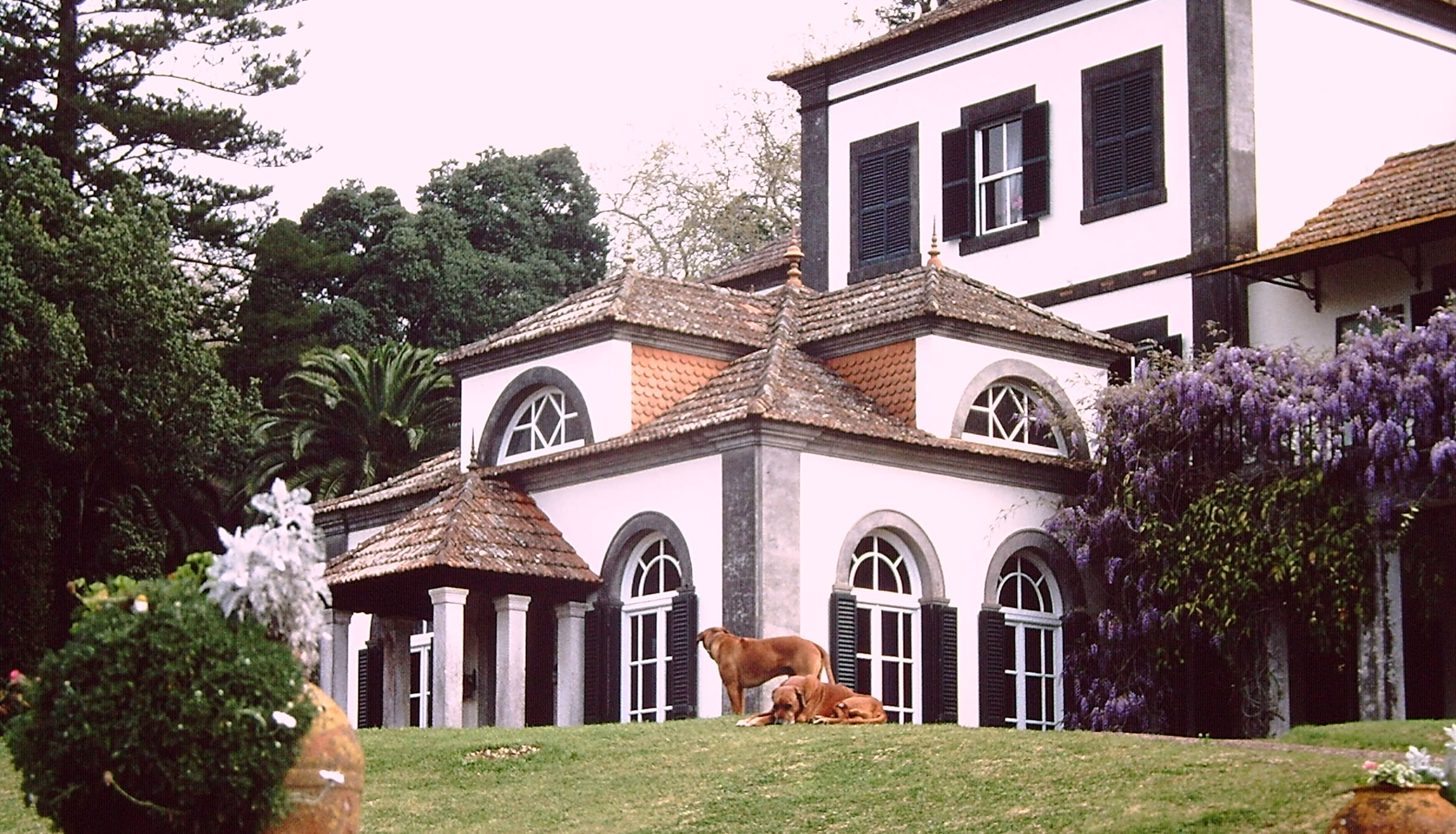 Madeira. Blandy's Garden 1990. Global Studies: Culture/Nature. Photo A.A.Bispo 1990