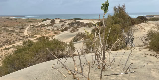 Calheta. Maio Island. Cabo Verde 2023. Culture/Nature - Global Studies. Photo A.A.Bispo©