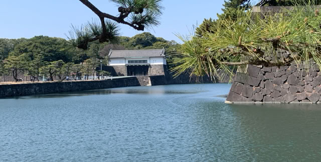 Tokyo. Japan 2024. Culture/Nature - Global Studies Topic: Paisagism, Tradition and Modernity in the Metropole.  photo © A.A.Bispo