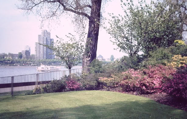 Cologne. Germany 1979. Global Studies: Culture/Nature. Photo: A.A.Bispo©