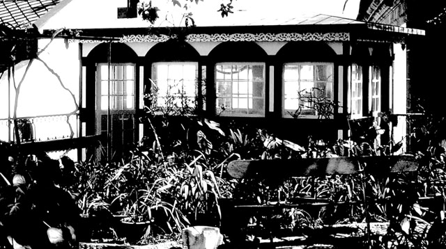 Funchal. Madeira.1989. Global Studies: Culture/Nature. Photo: A.A.Bispo©