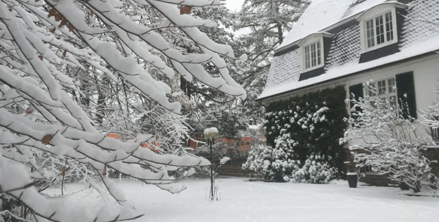 Dieringhausen, Oberberg, North Rhine - Westphaliua. Germany 2019. Brazil-Europe Academy. Photo A,A,Bispo©