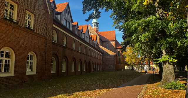 Lehnin. Braundenburg 2025. Culture/Nature - Global Studies. Photo A.A.Bispo©