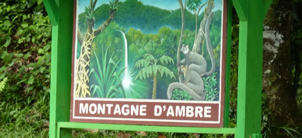 Madagascar 2015. Program Culture/Nature in the Global Studies, Parc National Montagne d'Ambre