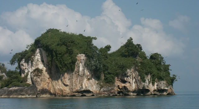 Samana. Dominican Republic. Global Studies: Culture/Nature. Photo: A.A.Bispo©