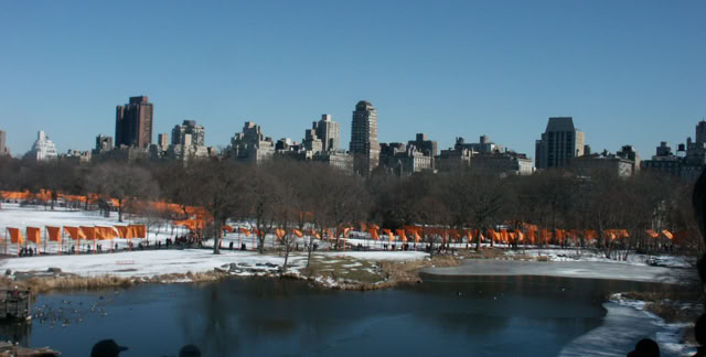 New York 2005. The Gates. Central Park from Christo and Jeanne Claude. Culture/Nature. Photo A.A.Bispo©