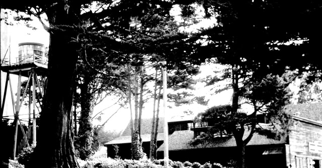 Mendocino. California 2000. Global Studies: Culture/Nature. Photo: A.A.Bispo©