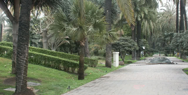 Malaga. Spain 2006. Culture/Nature. Photo A.A.Bispo©