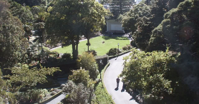 Wellington. New Zealand. 2009. Culture/Nature. Photo: A.A.Bispo©