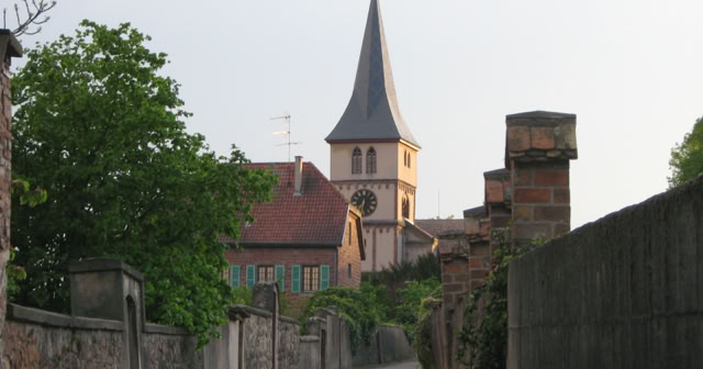 Barr. Alsace 2009. Culture/Nature. Photo: A.A.Bispo©