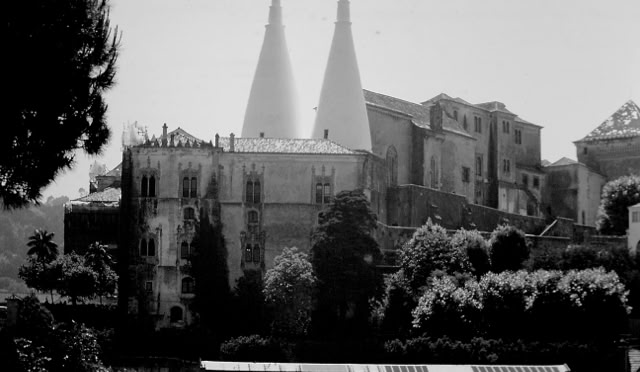 Sintra. Portugal 1996. Glonal Studies: Culture/Nature. Photo: A.A.Bispo©