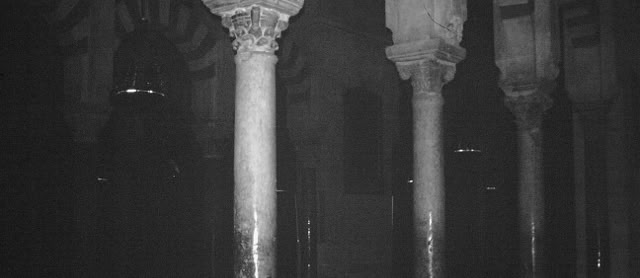 Cordoba. Spain 1999 Global Studies; Culture/Nature. Photo: A.A.Bispo©