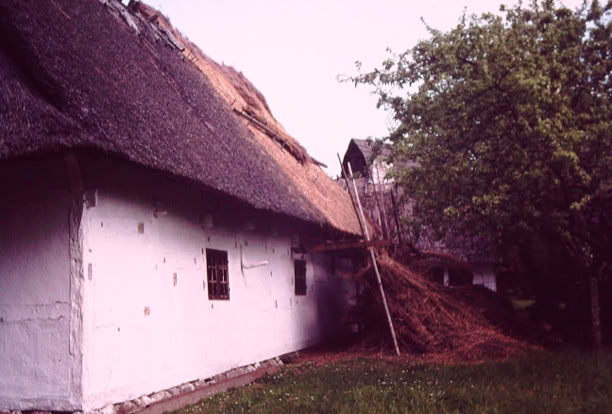 Denmark 1977. Global Studies: Culture/Nature. Photo: A.A.Bispo©