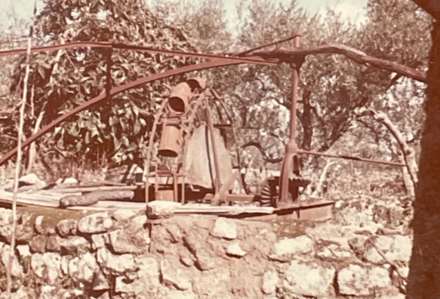 S. Vicente da Beira. Portugal 1974. Global Studies: Culture/Nature. Photo: A.A.Bispoi©