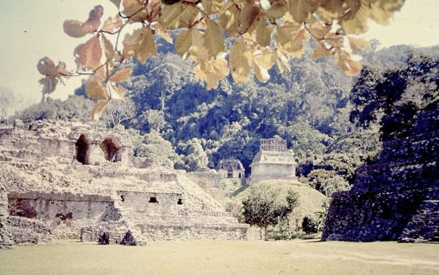 Palanque, Mexico. 1985. Global Studies: Culture/Nature. Photo: A.A.Bispo©