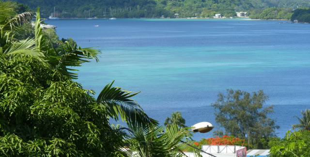 Port Vila. Vanuatu 2012. Culture/Nature. Photo: A.A.Bispo©