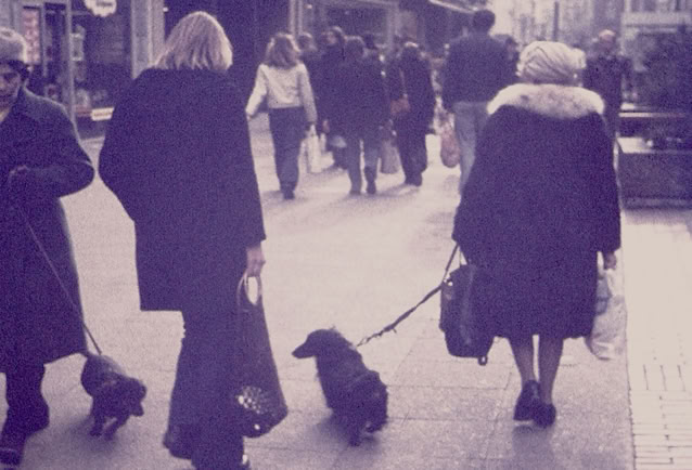 Lueneburg. Germany 1974. Global Studies: Culture/Nature. Photo A.A.Bispo©