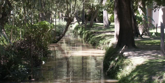 Tigre. Buenos Aires. 2008. Culture/Nature. Photo A.A.Bispo©