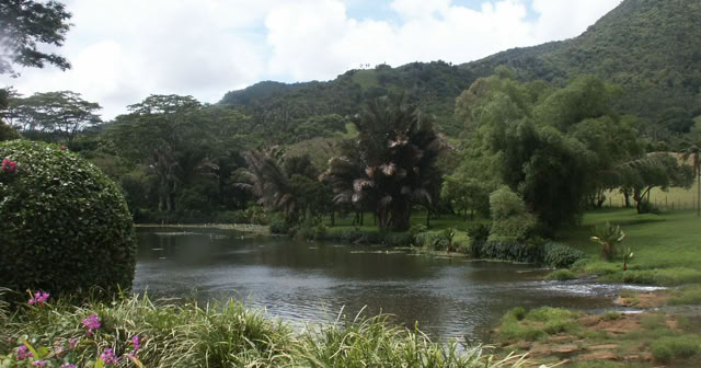Domain de l'Etoile. Mauritius. 2009. Culture/Nature. Photo: A.A.Bispo©