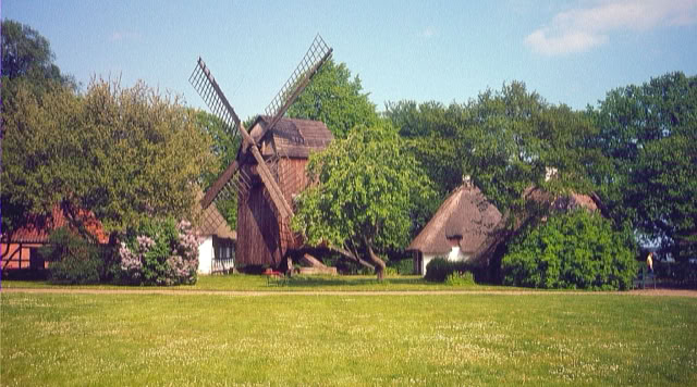 Maribo. Denmark. 1983. Global Studies: Culture/Nature. Photo A.A.Bispo©