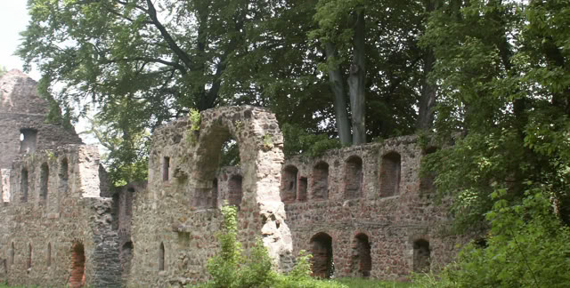 Nimbschen. Germany 2010. Culture/Nature - Global Studies. Photo A.A.Bispo©