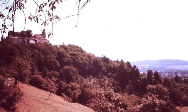 Coburg. Germany 1976. Global Studies: Culture/Nature. Photo A.A.Bispo©