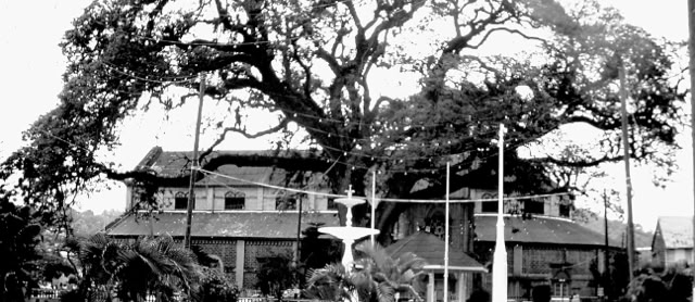 St. Lucia.1999. Global Studies: Culture/Nature. Photo: A.A.Bispo©