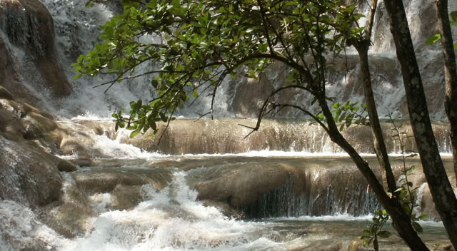 Jamaica. 2003. Global Studies: Culture/Nature. Photo A.A.Bispo©