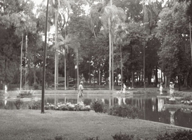 Jardim da Luz. São Paulo. Global Studies: Culture/Nature. Photo A.A.Bispo