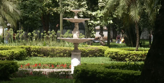 São Paulo. 2006. Culture/Nature. Photo A.A.Bispo©