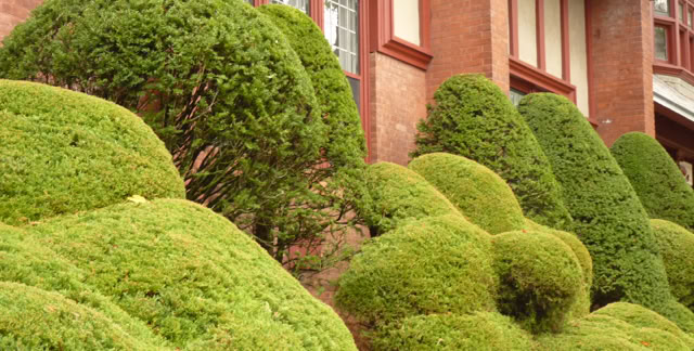 East Hampton. USA 2010. Culture/Nature - Global Studies. Photo A.A.Bispo©