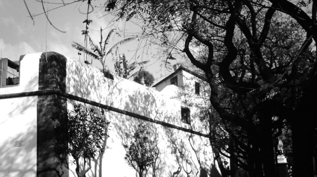 Funchal. Madeira.1989. Global Studies: Culture/Nature. Photo: A.A.Bispo©