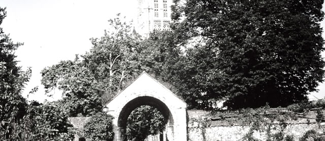 Canterbury 1988. Global Studies: Culture/Nature. Photos A.A.Bispo©