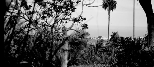 Gran Canaria.1999. Global Studies: Culture/Nature. Photo: A.A.Bispo©