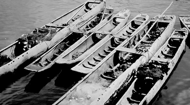 Manaus. Amazonas 1993. Global Studes: Culture/Nature. Photo A.A:Bispo©