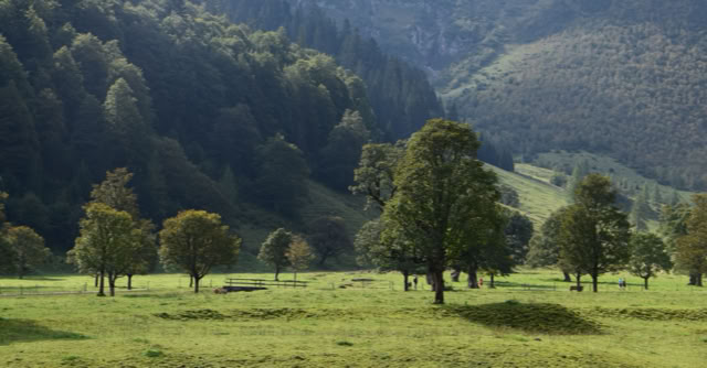 Eng. Bavaria 2020. Culture/Nature - Global Studies. Photo A.A.Bispo©