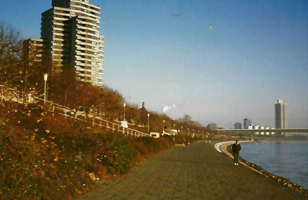 Cologne. 1980. Global Studies: Culture/Nature. Photo: A.A.Bispo©