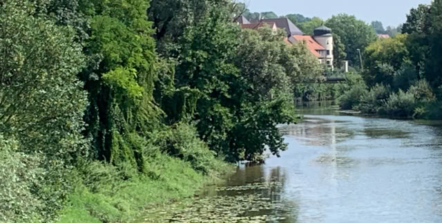 Donauwörth. Bavaria 2019. Culture/Nature - Global Studies. Photo A.A.Bispo©