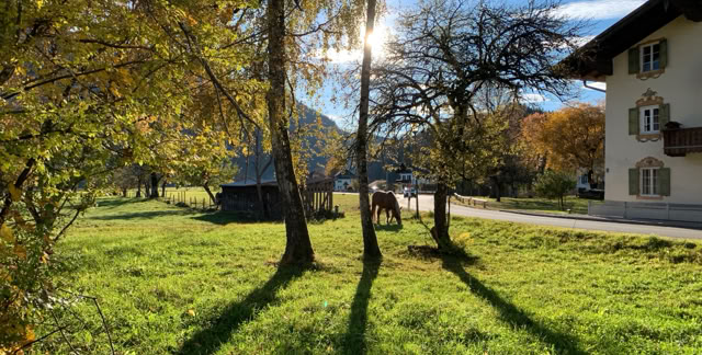 Jachenau.Bavaria 2021. Culture/Nature - Global Studies. Photo: A.A.Bispo©