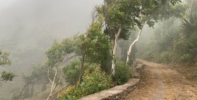 Santiago Island. Cabo Verde 2023.. Culture/Nature - Global Studies. Photo: A.A.Bispo©