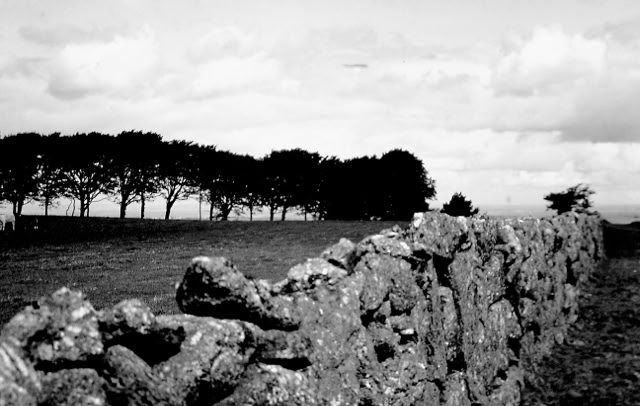 Dartmoor 1988. Global Studies: Culture/Nature. Photos A.A.Bispo©