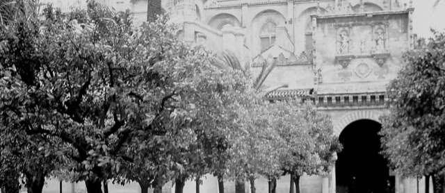 Cordoba. Spain 1999. Global Studies; Culture/Nature. Photo: A.A.Bispo©