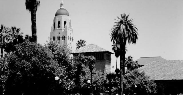 Stanford Universsity. USA. 2000. Global Studies: Culture/Nature. Photo: A.A.Bispo©