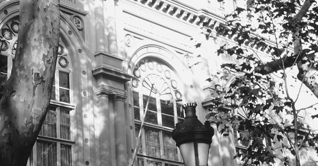 Barcelona 2000. Global Studies: Culture/Nature. Photo: A.A.Bispo©