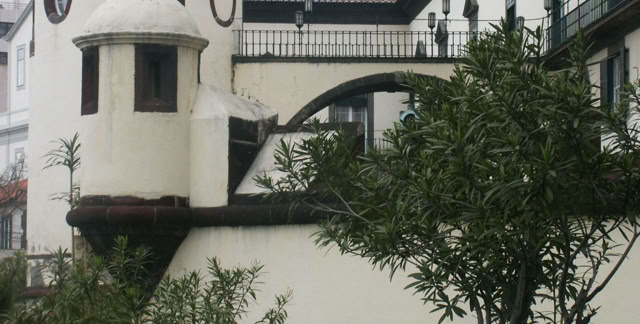 Funchal. Madeira. Portugal 2006. Culture/Nature. Photo: A.A.Bispo©