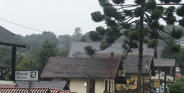 Monte Verde. Minas Gerais. Brazil 2006. Culture/Nature. Photo: A.A.Bispo©