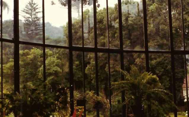 Petrópolis, Rio de Janeiro, Brazil 1981. Global Studies: Culture/Nature. Photo: A.A.Bispo©