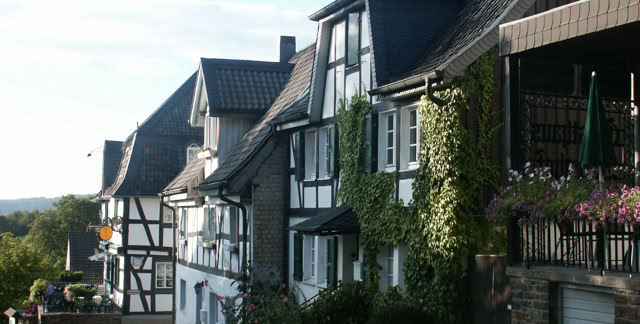 Blankenberg. Germany 2005. Culture/Nature. Photo: A.A.Bispo©